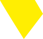 Vector-42.png